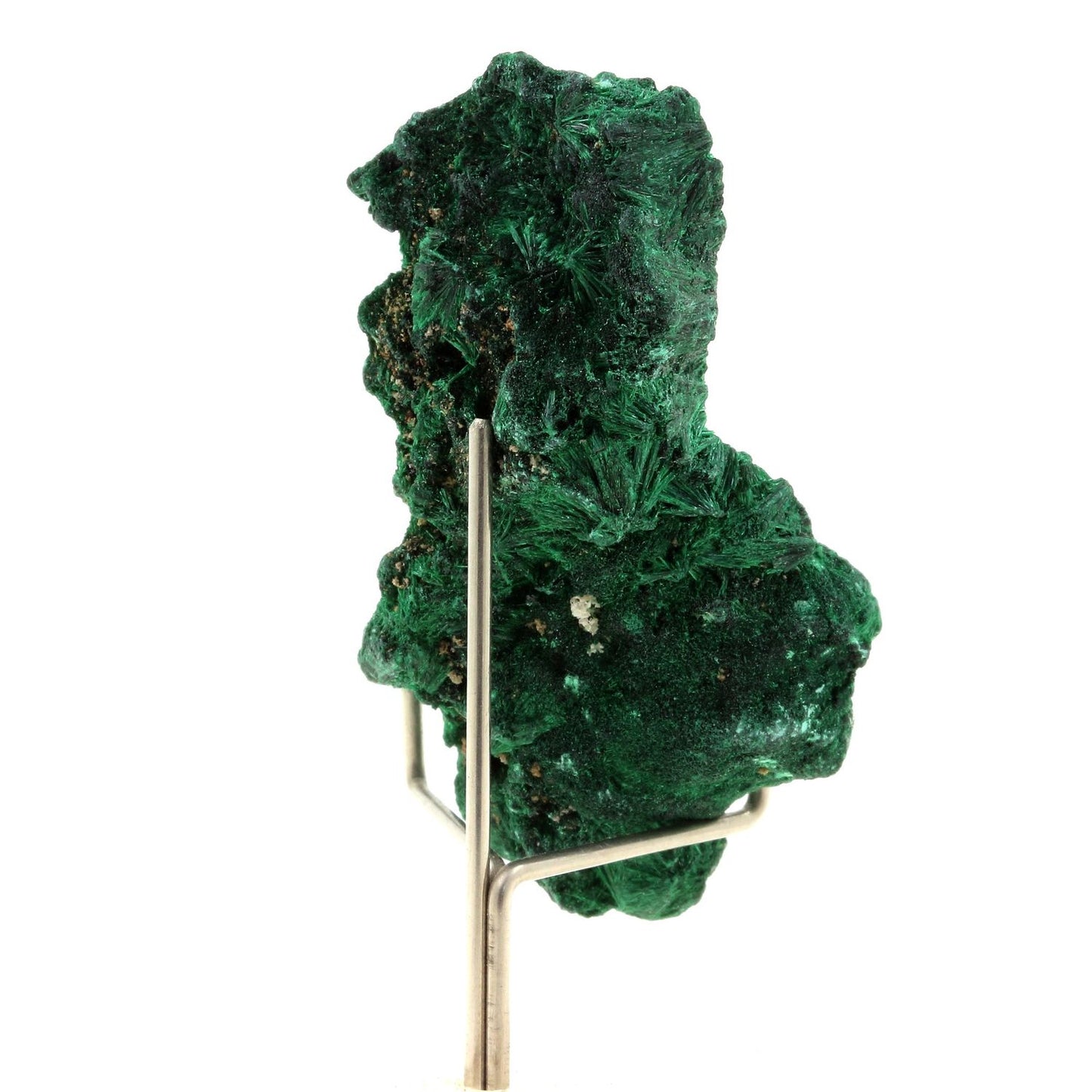 Malachite. 203.0 carats. Katanga, Congo