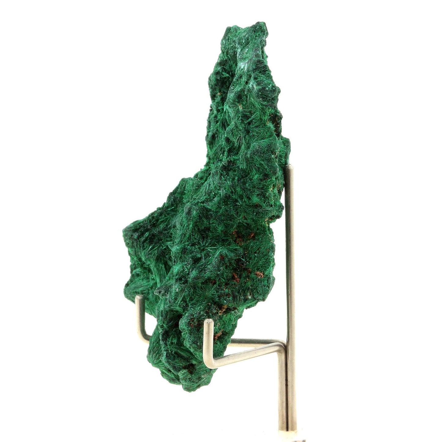 Malachite. 203.0 carats. Katanga, Congo