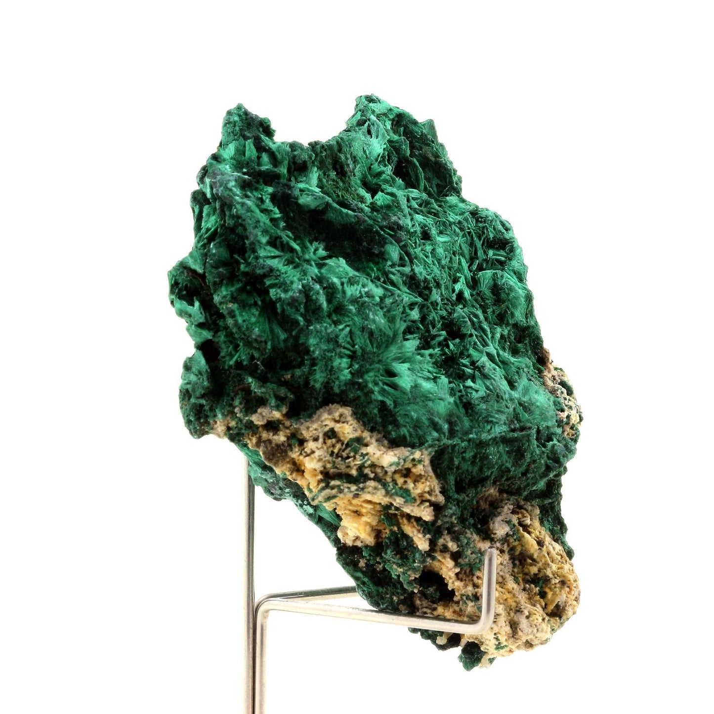 Malachite. 740.5 carats. Katanga, Congo