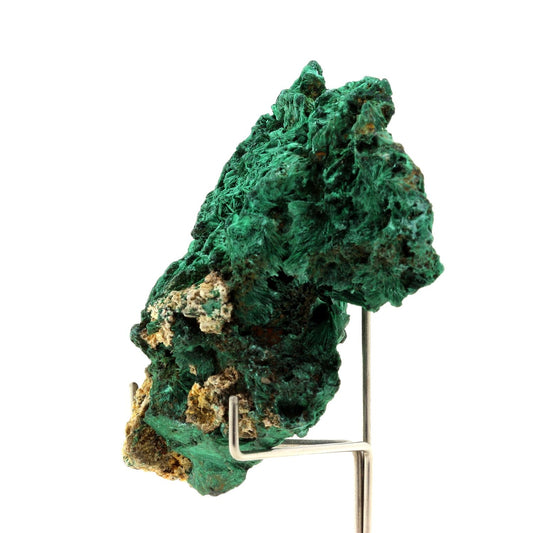 Malachite. 740.5 carats. Katanga, Congo