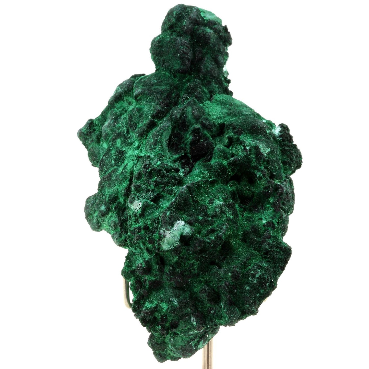 Malachite. 884.0 carats. Katanga, Congo