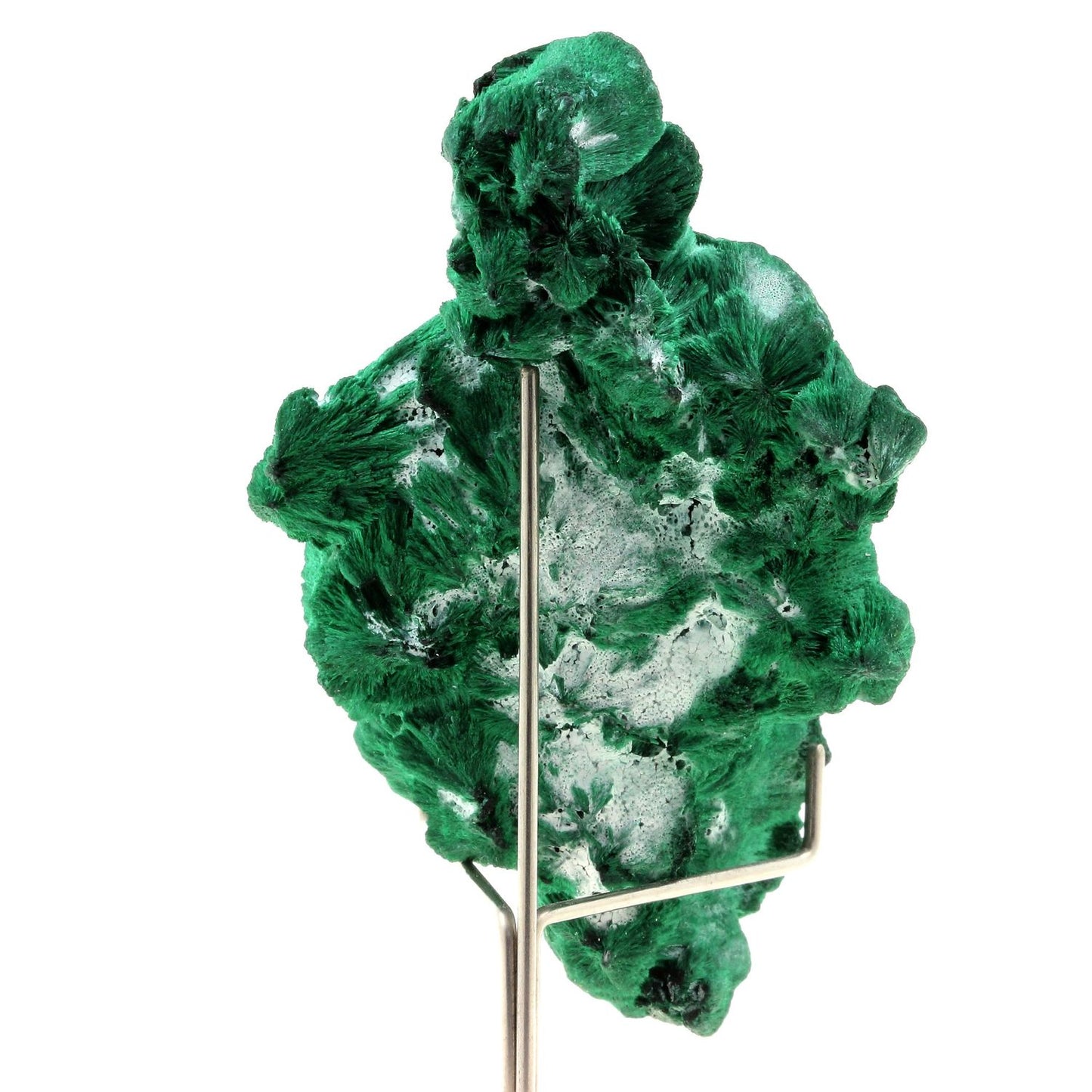 Malachite. 884.0 carats. Katanga, Congo