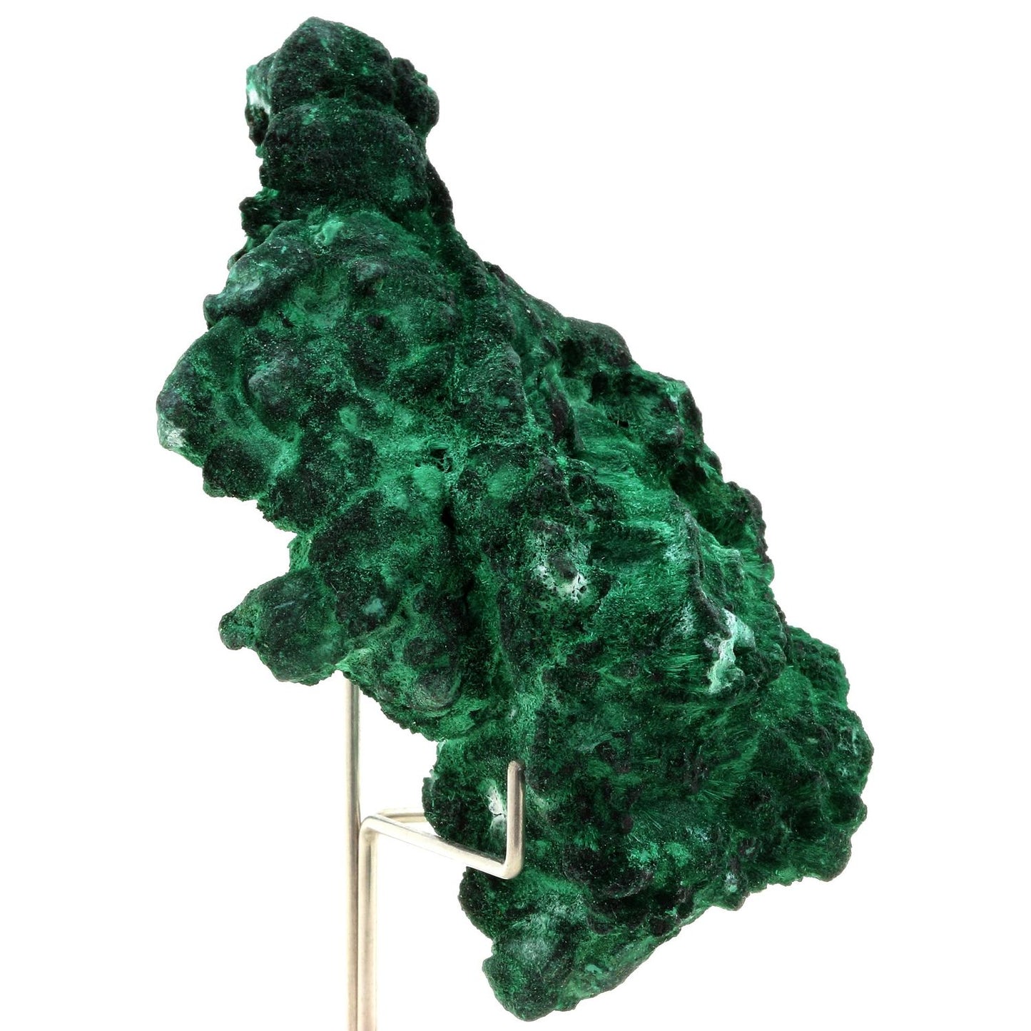 Malachite. 884.0 carats. Katanga, Congo