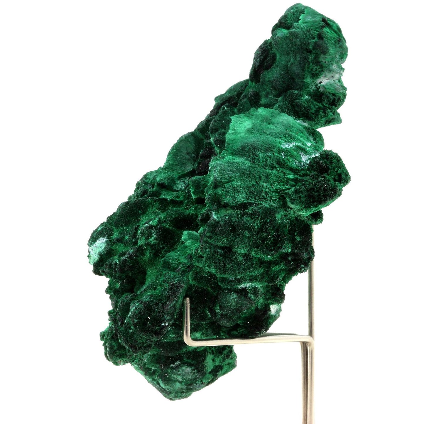 Malachite. 884.0 carats. Katanga, Congo