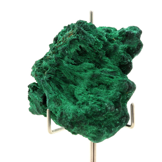 Malachite. 305.5 carats. Katanga, Congo