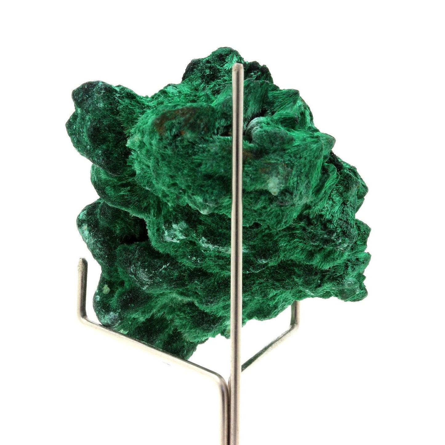 Malachite. 305.5 carats. Katanga, Congo