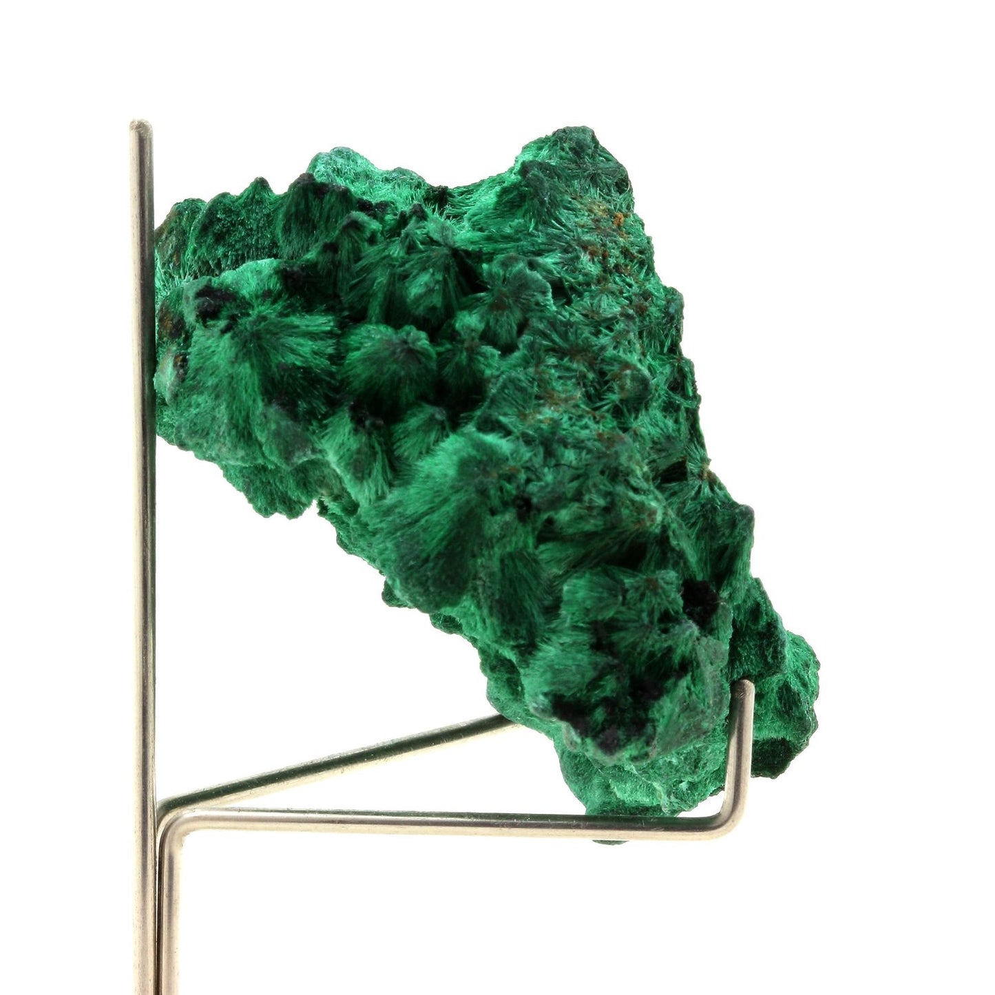 Malachite. 305.5 carats. Katanga, Congo