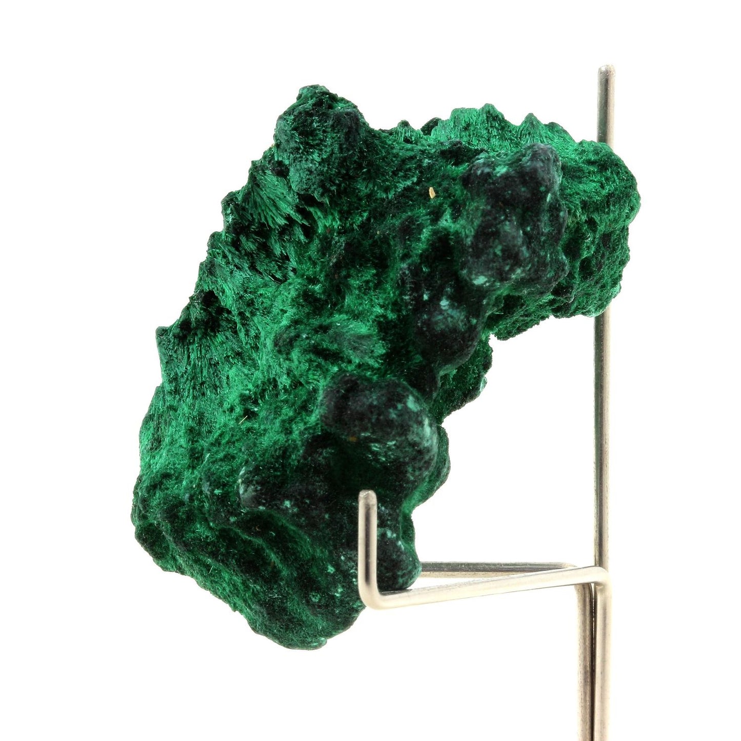 Malachite. 305.5 carats. Katanga, Congo