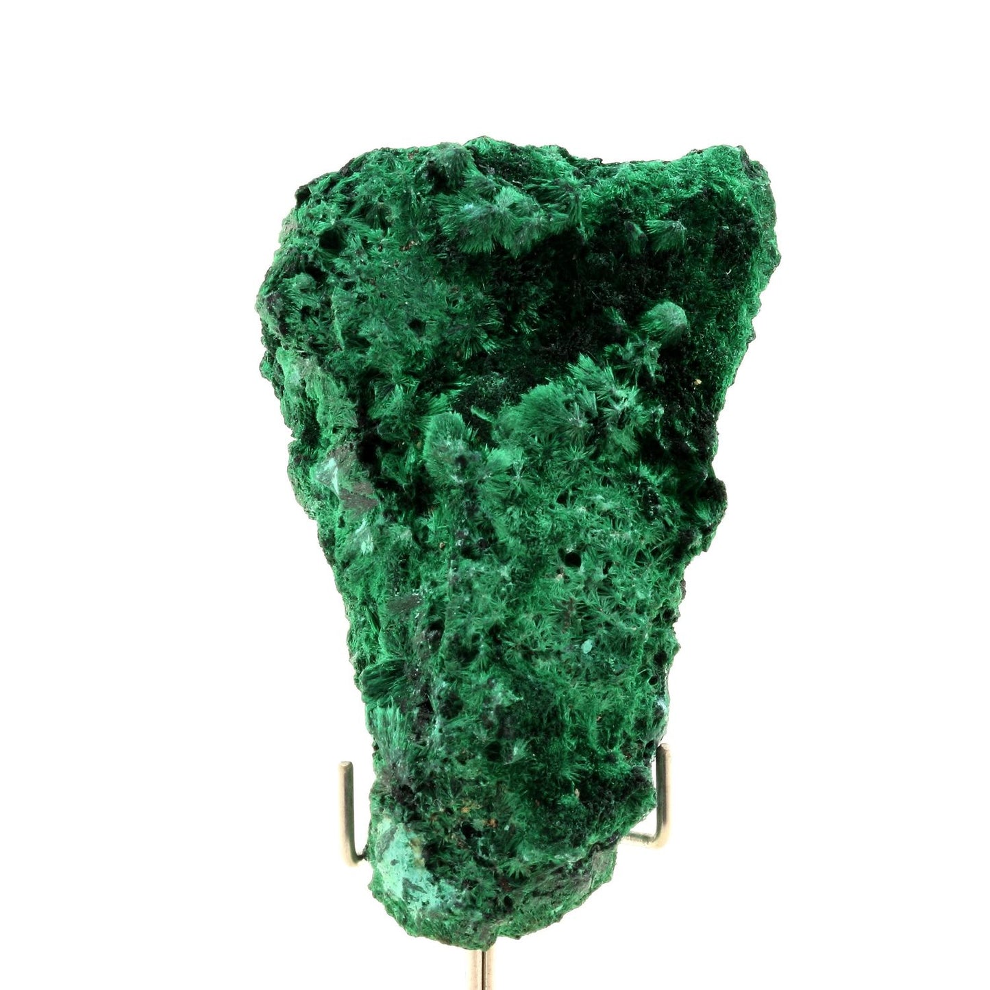 Malachite. 780.5 carats. Katanga, Congo