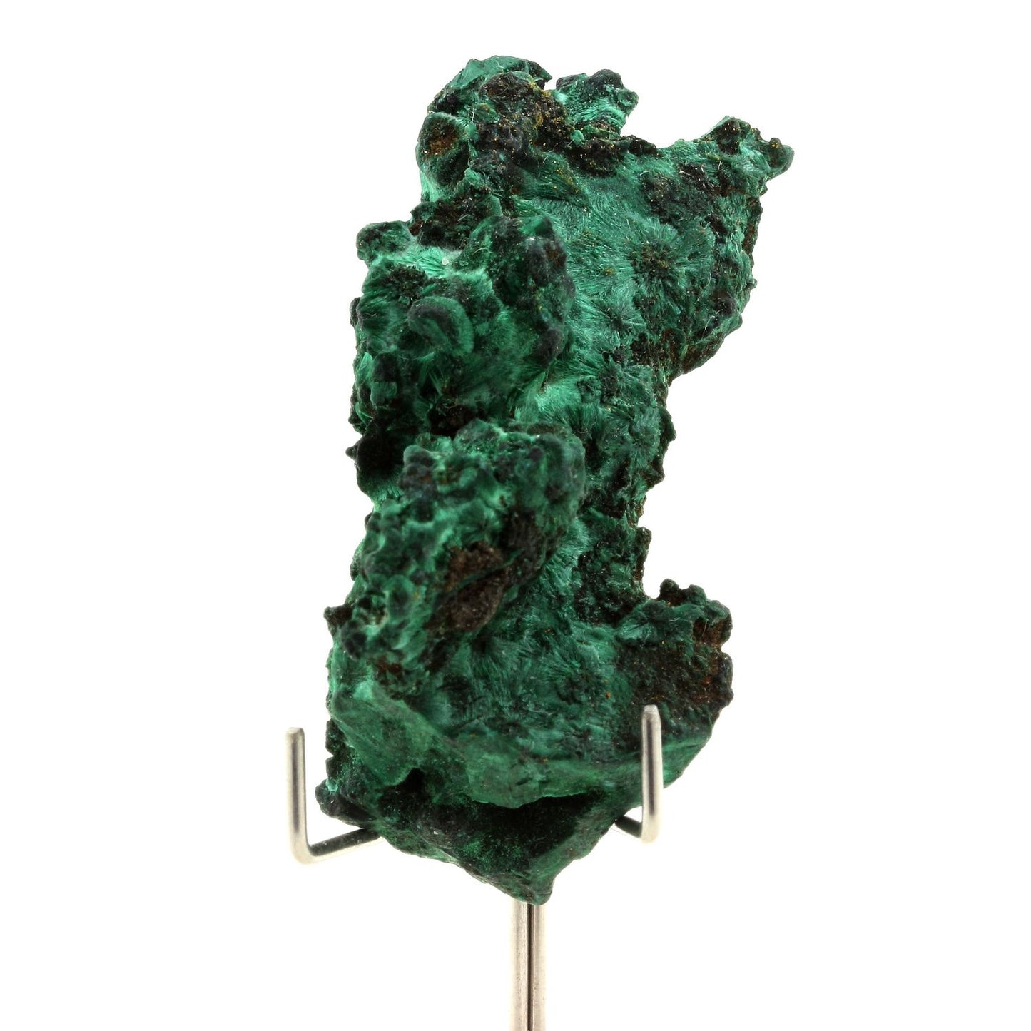 Malachite. 291.30 carats. Mindingi Mine, Kambove District, Congo