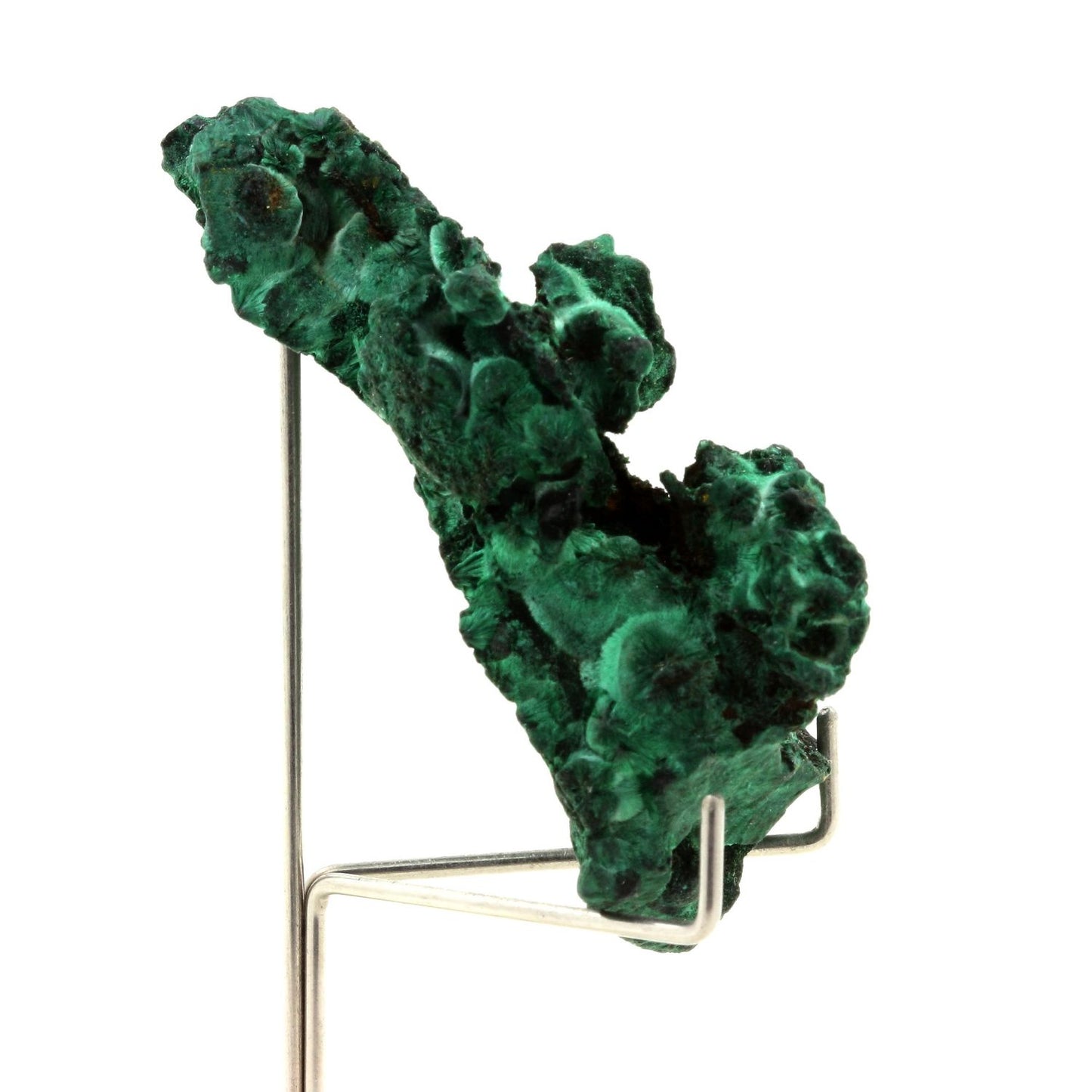 Malachite. 291.30 carats. Mindingi Mine, Kambove District, Congo