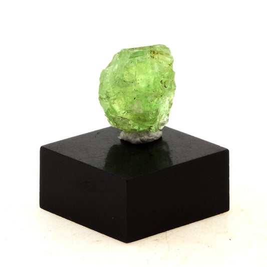 Grenat Tsavorite. 10.8 carats. Manyara Region, Tanzanie