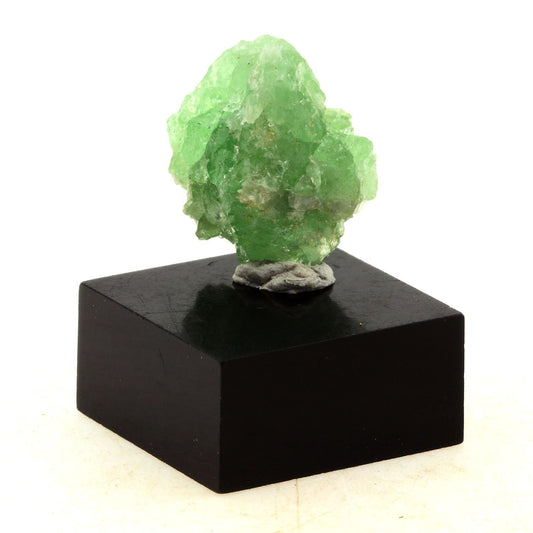 Grenat Tsavorite. 13.4 carats. Manyara Region, Tanzanie