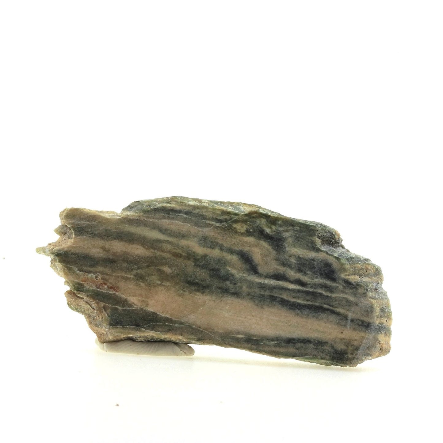 Rodingite à hydrogrossulaire, Diopside et Chlorite. 204.75 carats, Canari, Corse, France