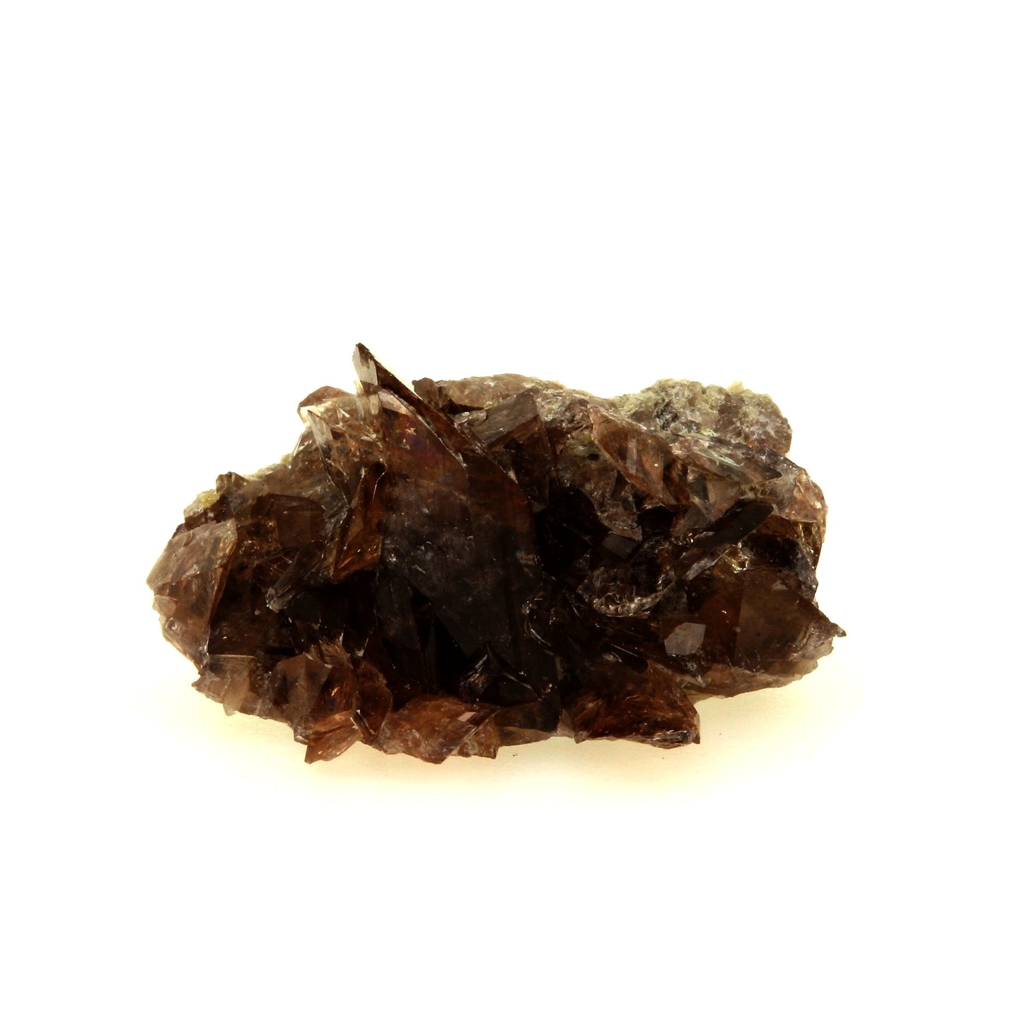 Axinite. 11.8 carats. La Balme d'Auris, Bourg d'Oisans, Isère, France