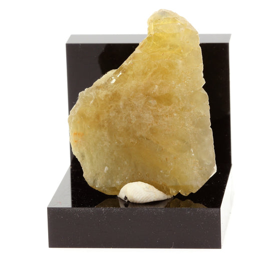 Baryte. 237.3 carats. Saint-Georges-les-Bains, Ardèche, France