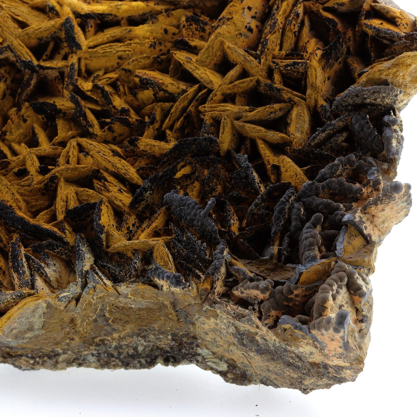 Pyrolusite et Goethite sur Siderite. 2140.1 carats. Peyreblanque Mine, Alban, Tarn, France