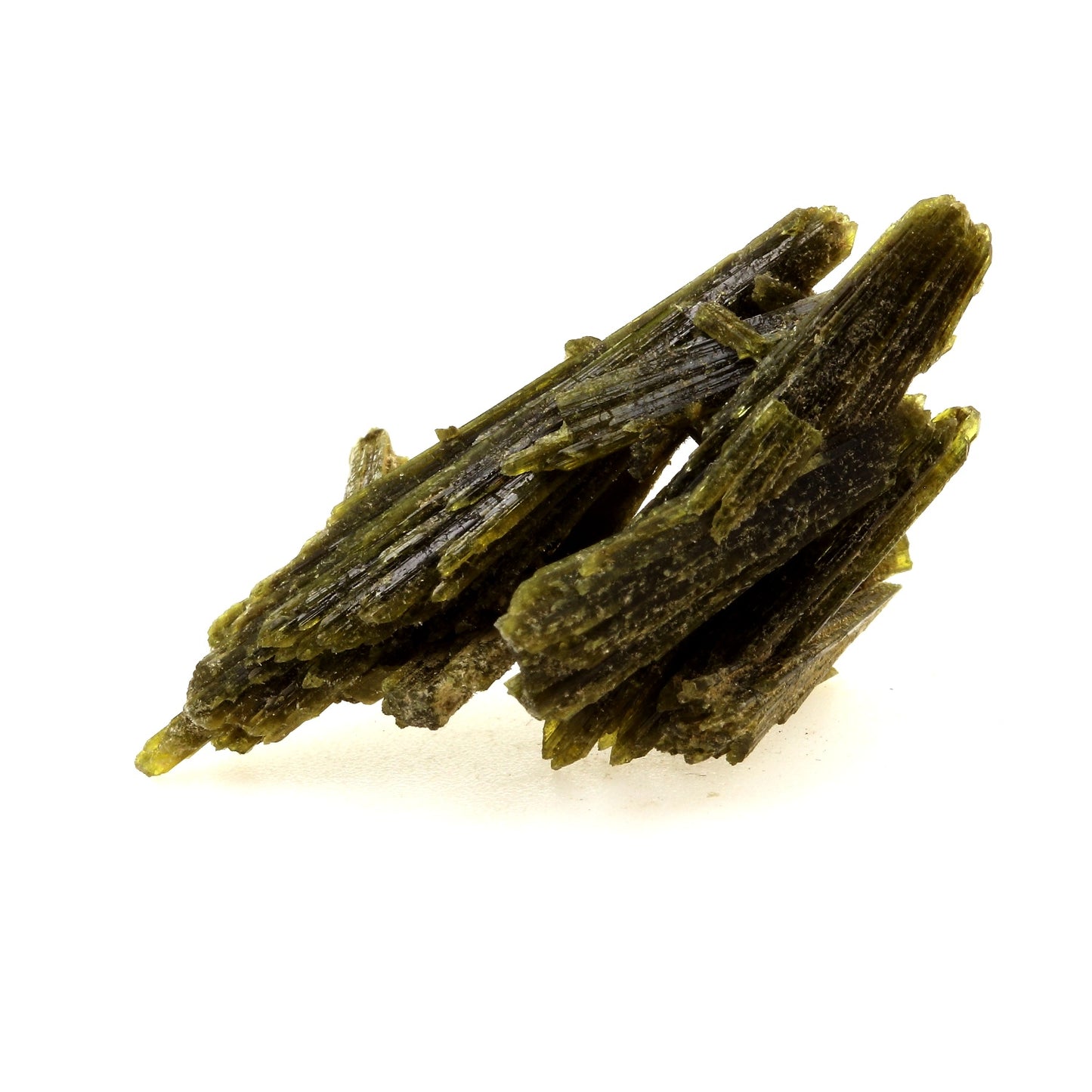 Epidote. 26.69 carats. Chamrousse, Vizille, Isère, France