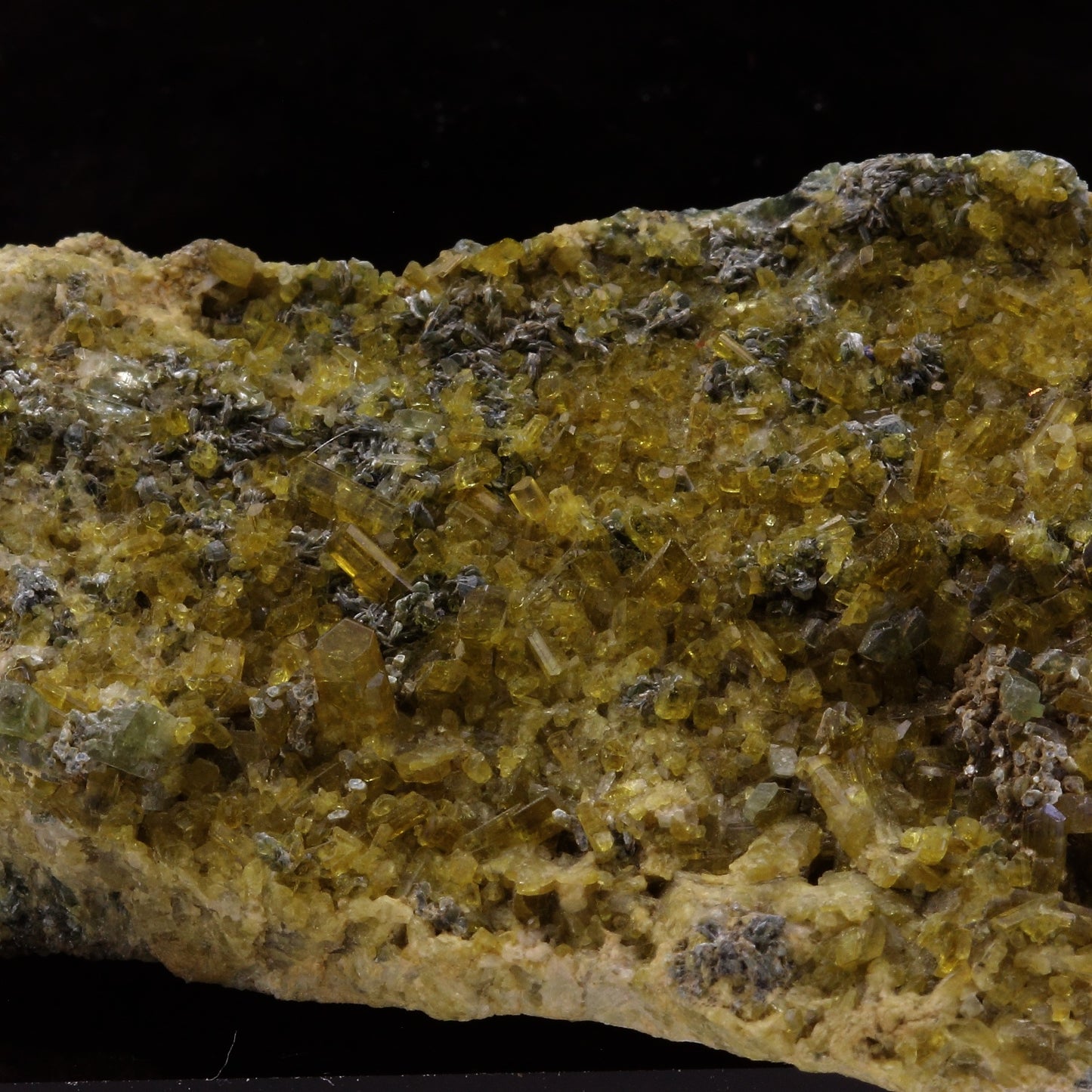 Epidote. 419.1 carats. Susa Valley, Torino Province, Piedmont, Italie