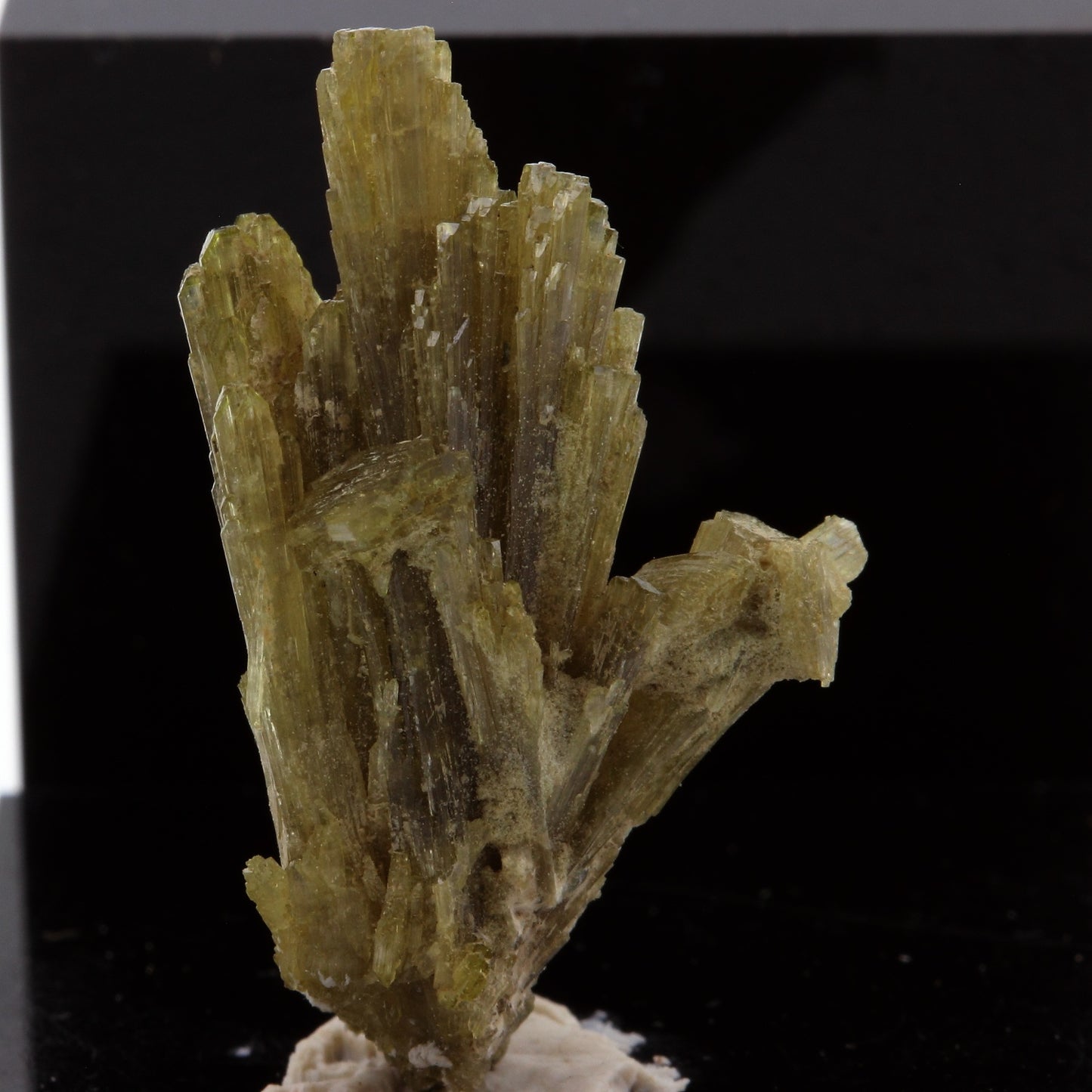 Epidote. 13.07 carats. Chamrousse, Vizille, Isère, France