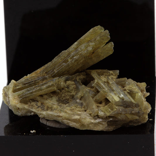 Epidote. 30.38 carats. Chamrousse, Vizille, Isère, France