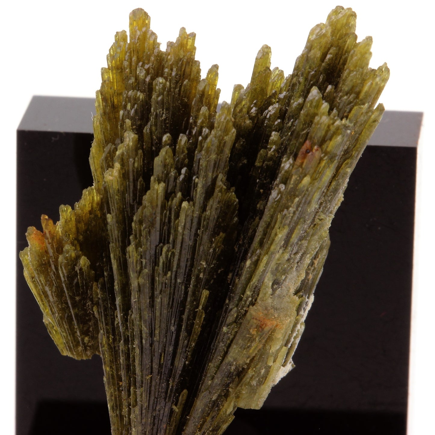 Epidote. 49.92 carats. Chamrousse, Vizille, Isère, France