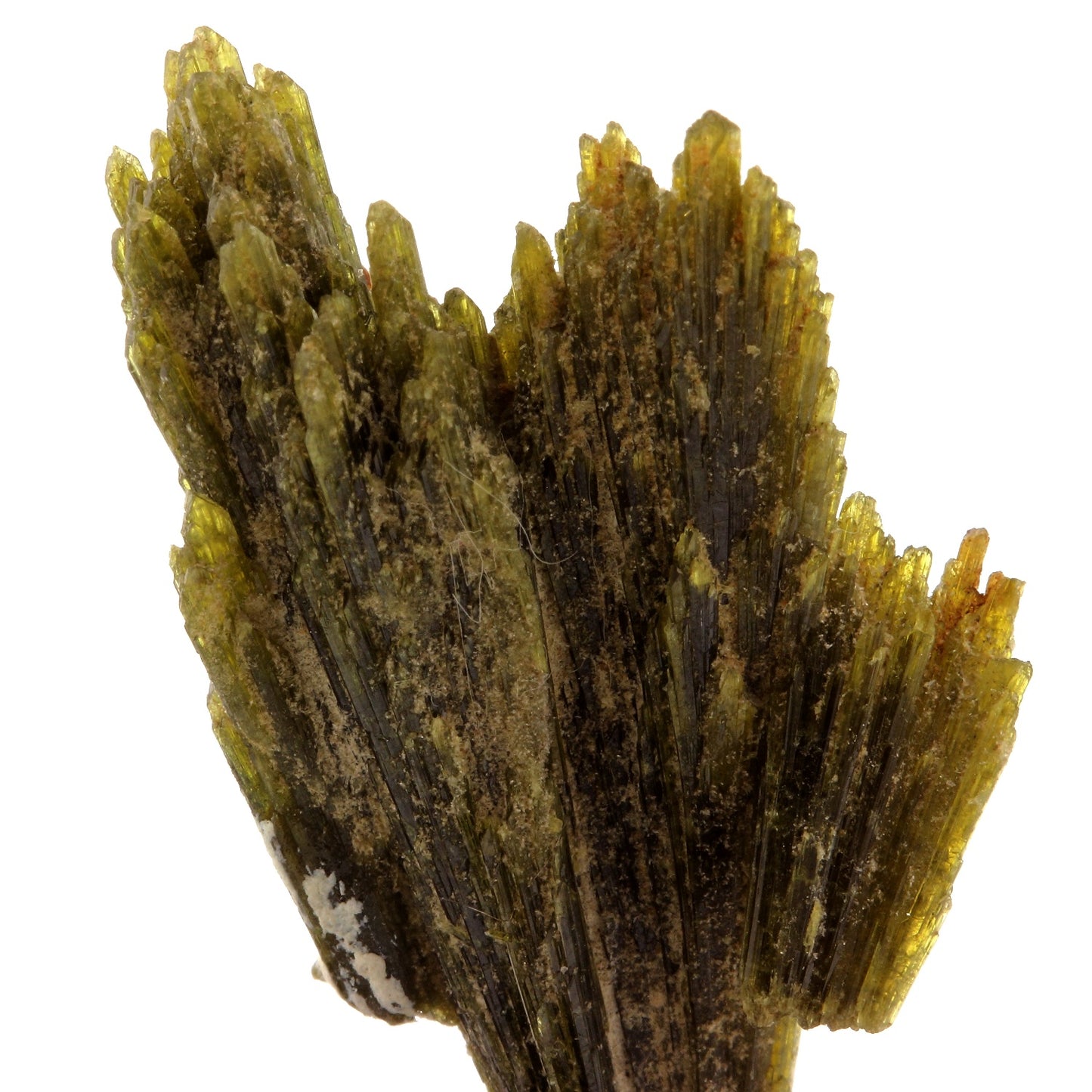 Epidote. 49.92 carats. Chamrousse, Vizille, Isère, France