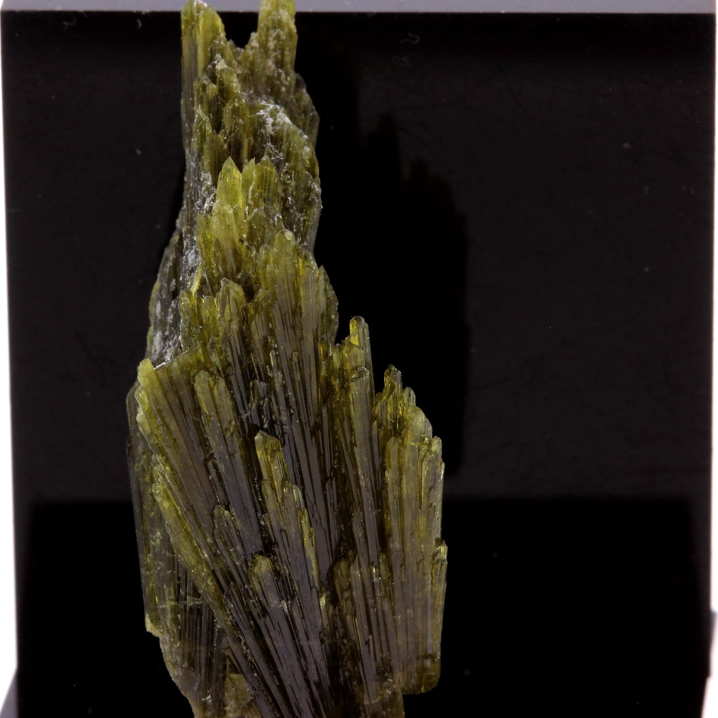 Epidote. 19.44 carats. Chamrousse, Vizille, Isère, France