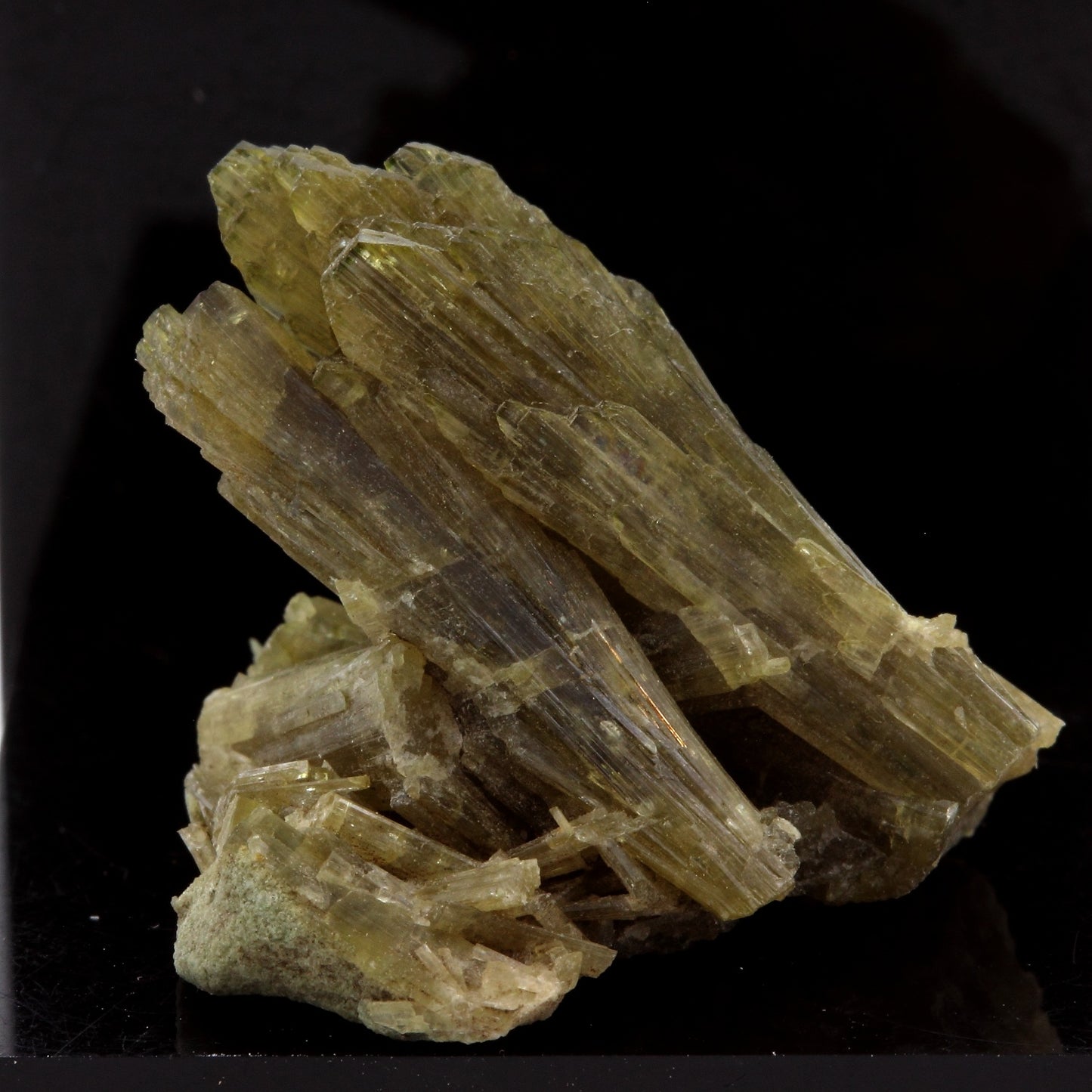 Epidote. 26.71 carats. Chamrousse, Vizille, Isère, France