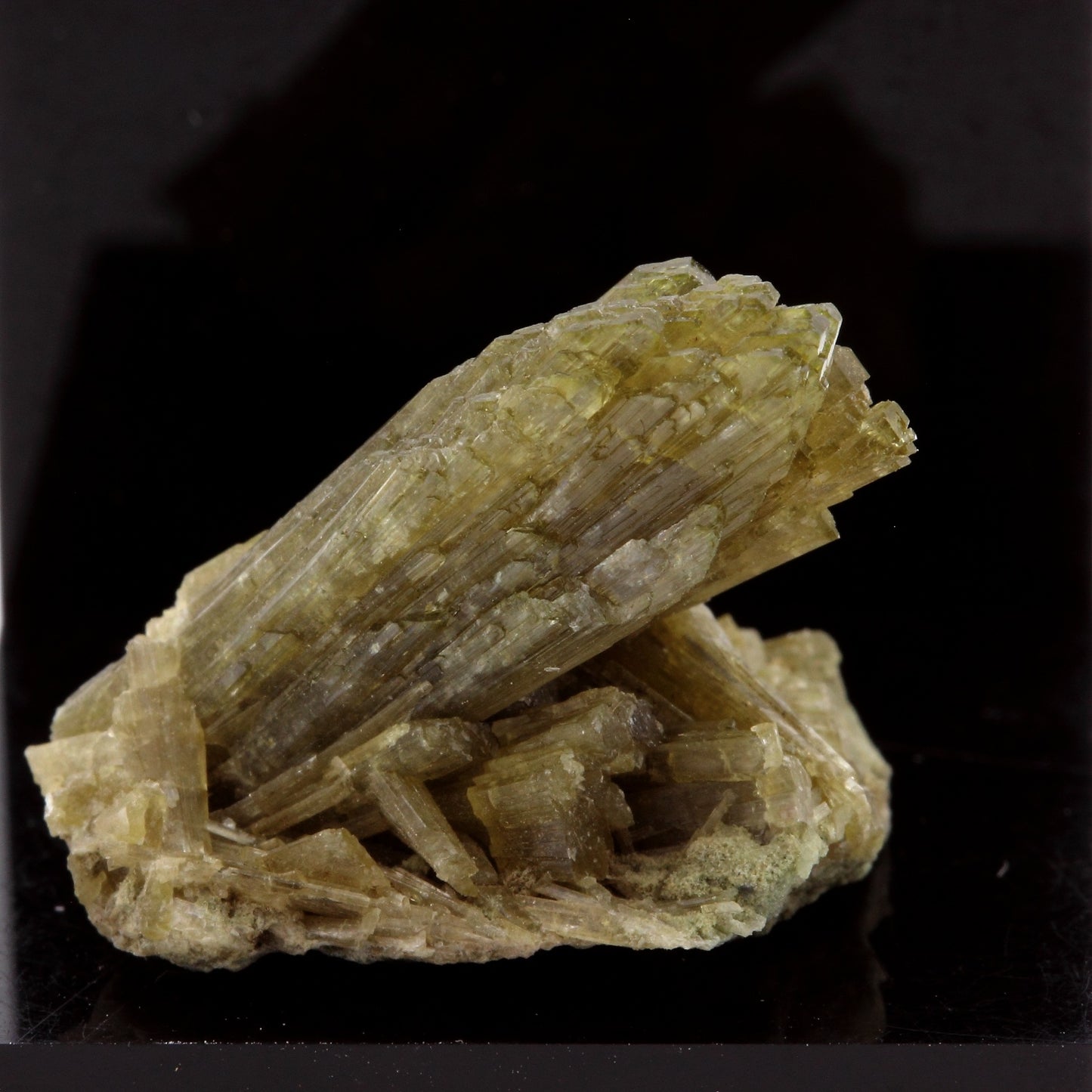 Epidote. 26.71 carats. Chamrousse, Vizille, Isère, France