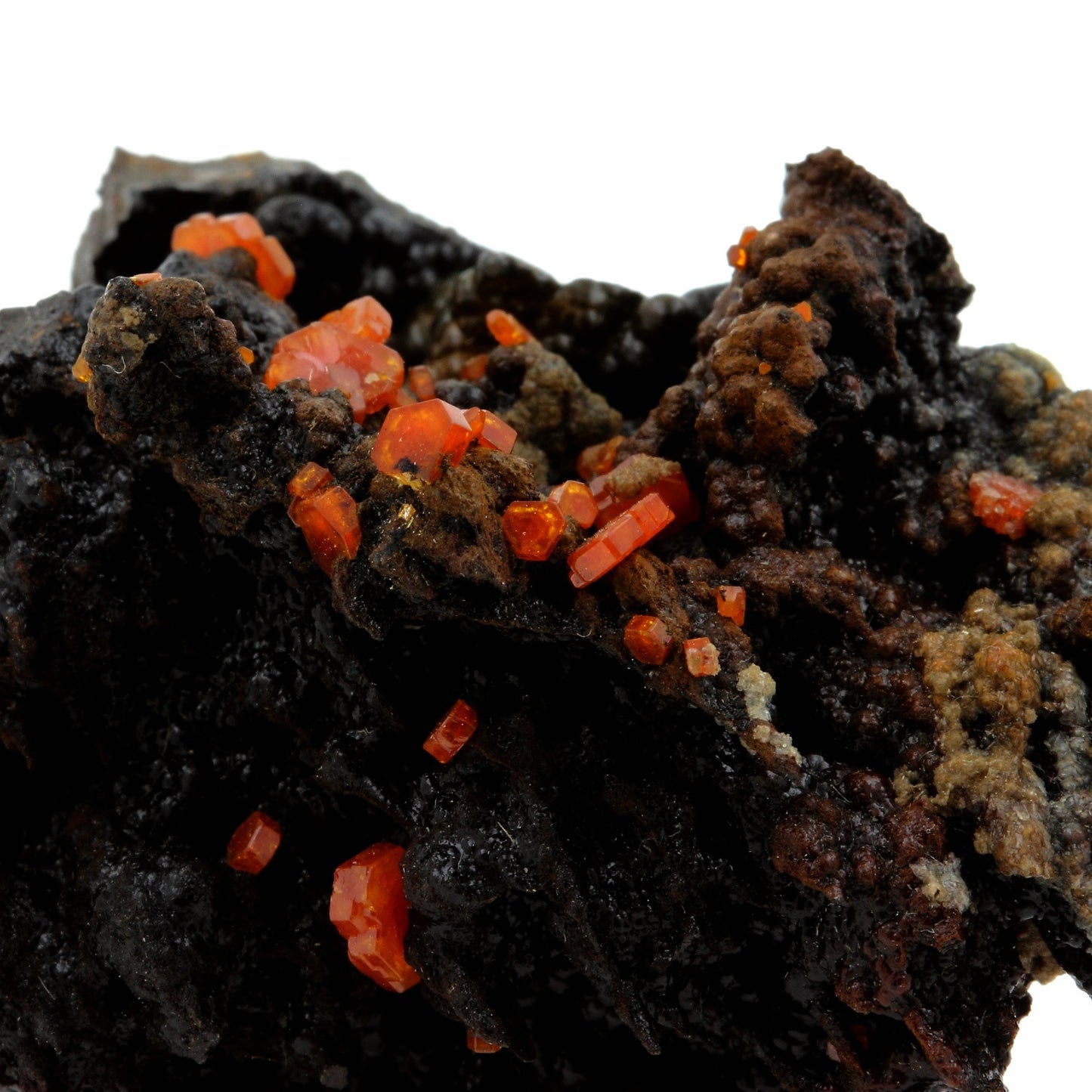 Vanadinite + Goethite. 363.9 carats. Mibladen Mining District, Midelt, Maroc