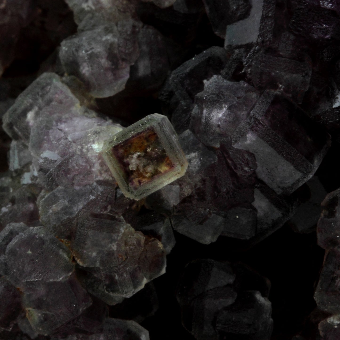 Fluorite. 1550.1 carats. Fontsante Mine, Var, France