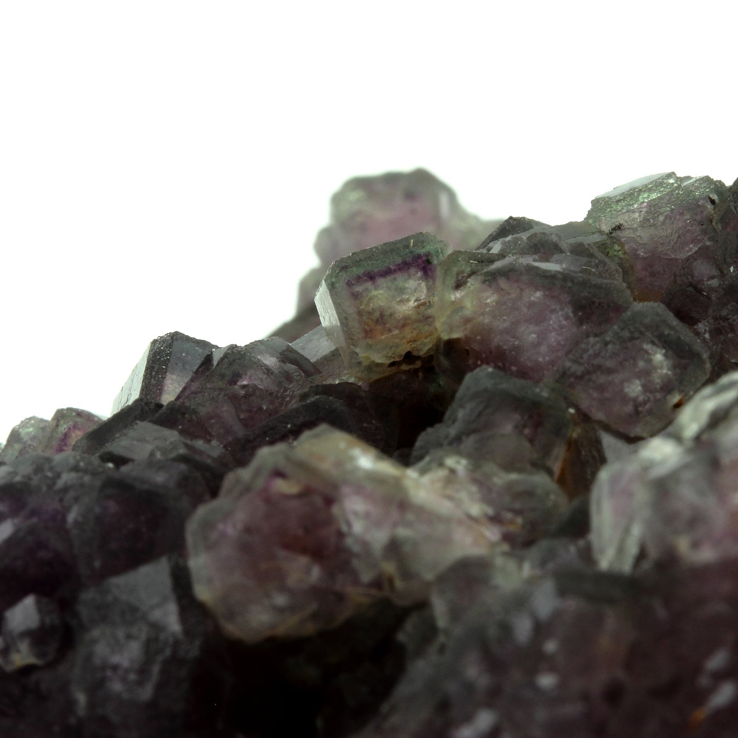 Fluorite. 1550.1 carats. Fontsante Mine, Var, France