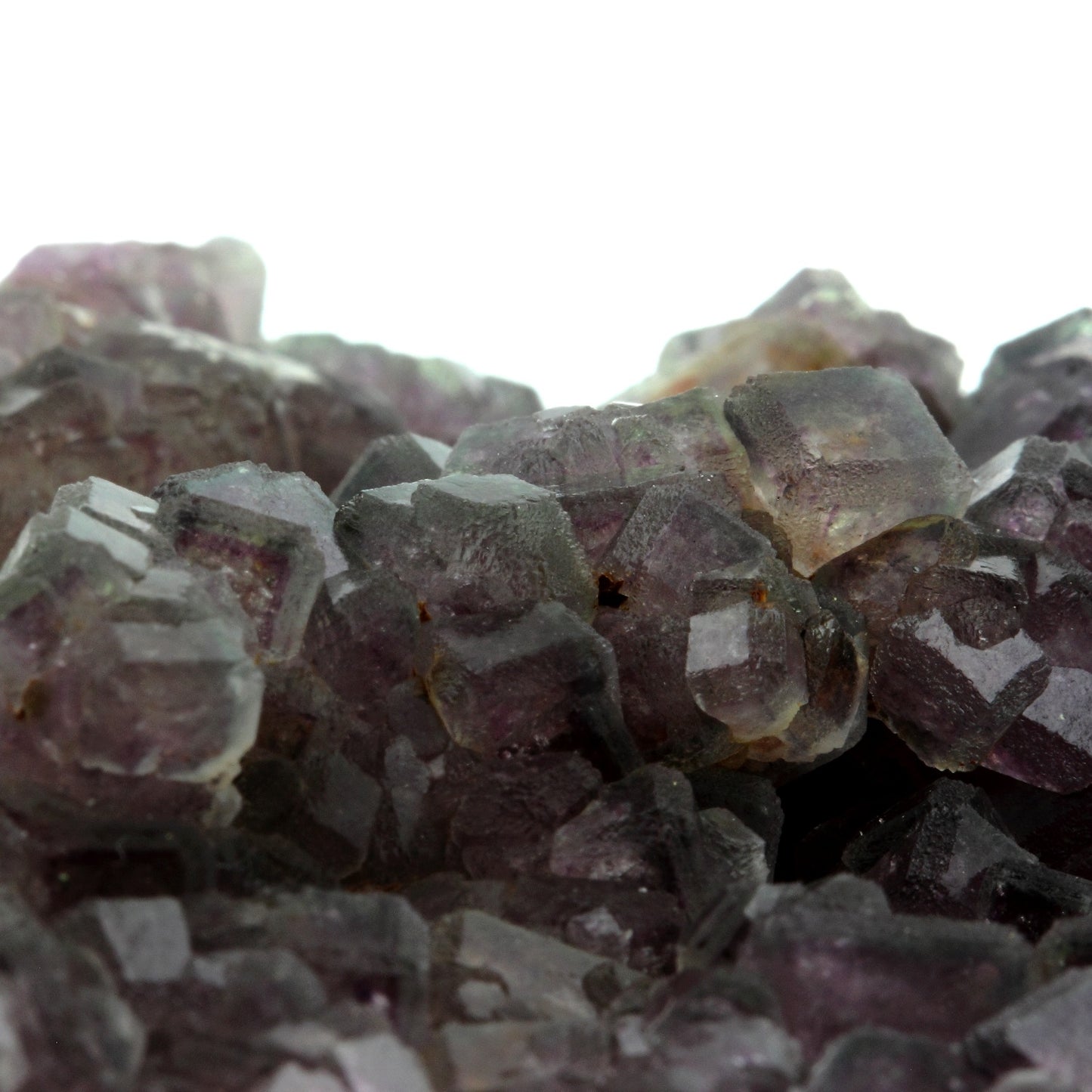 Fluorite. 1550.1 carats. Fontsante Mine, Var, France