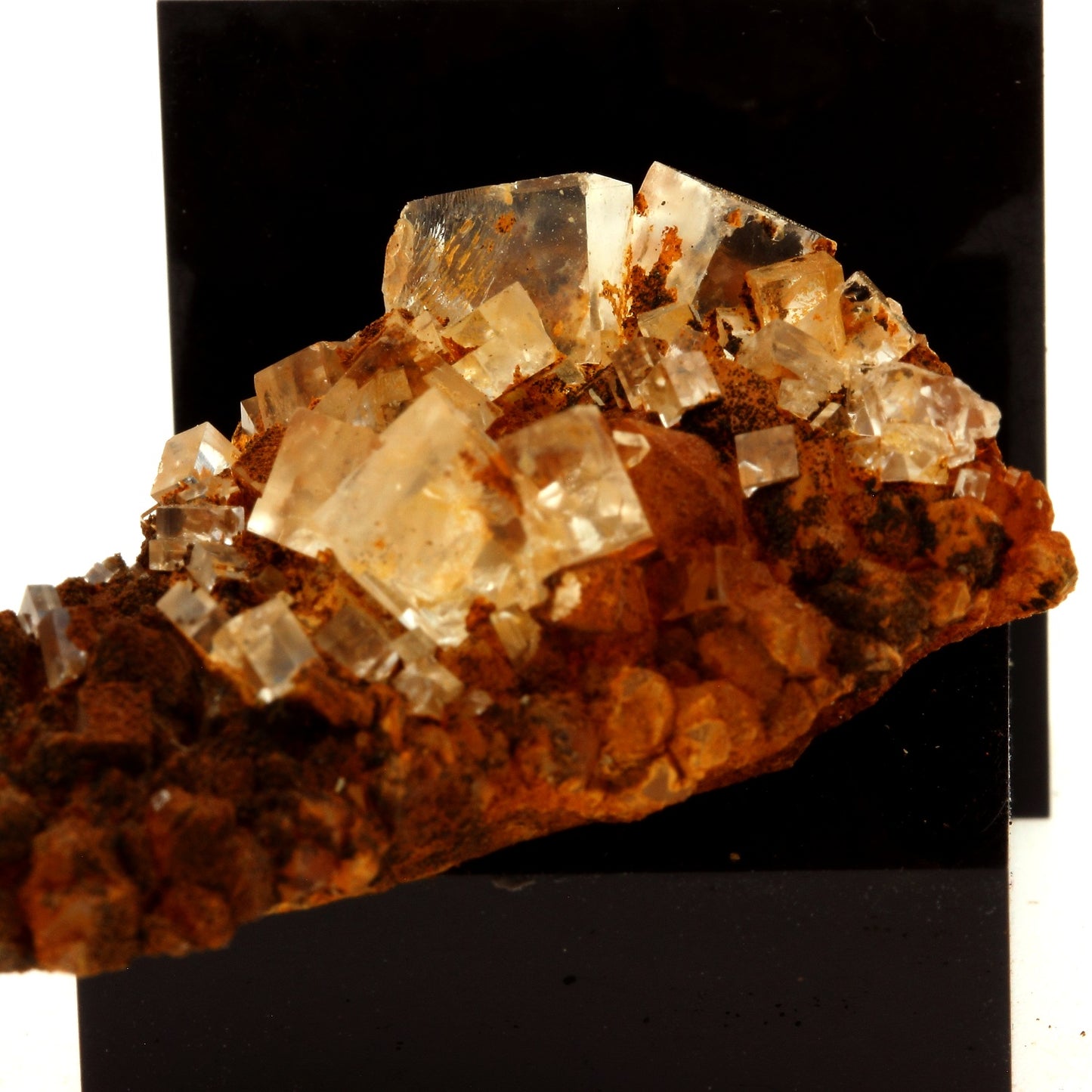 Fluorite + Quartz. 84.4 carats. Langeac, Haute-Loire, France