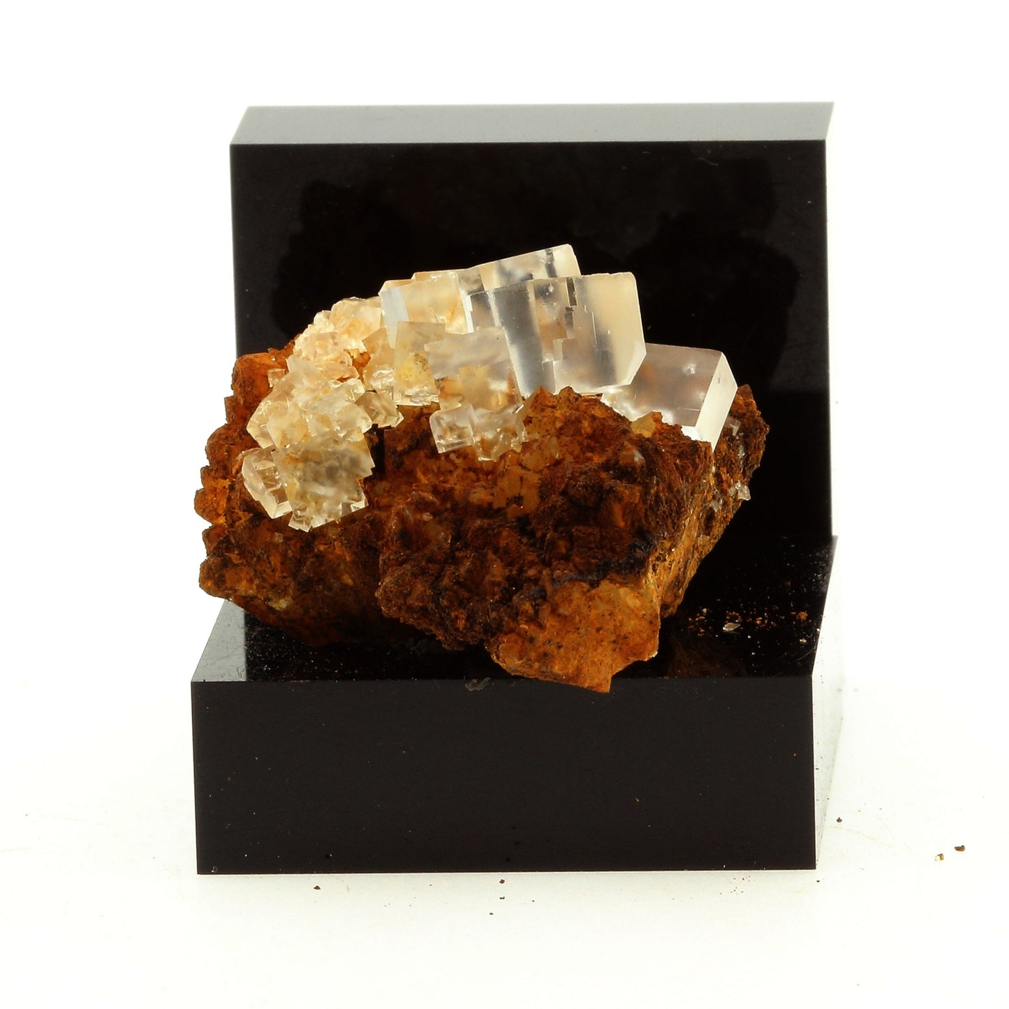 Fluorite + Quartz. 62.6 carats. Langeac, Haute-Loire, France