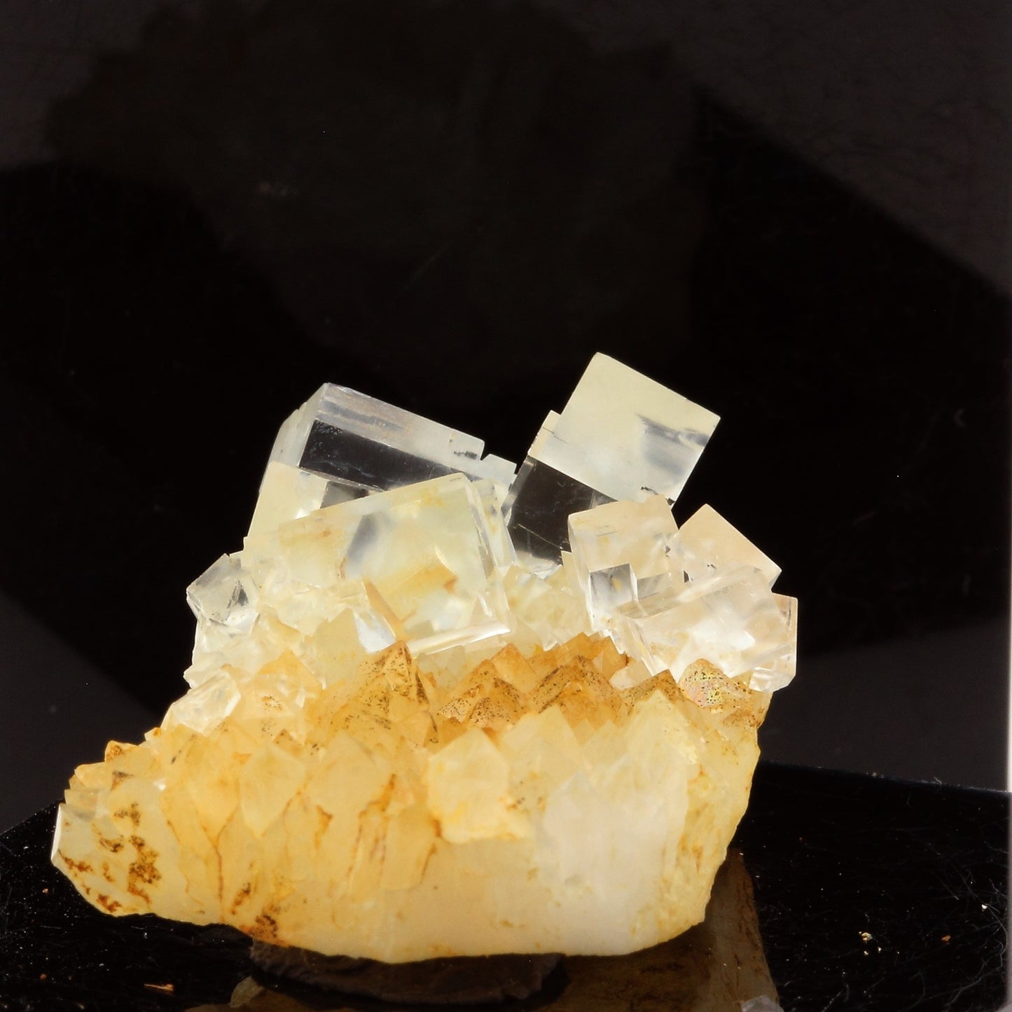 Fluorite + Quartz. 60.1 carats. Langeac, Haute-Loire, France