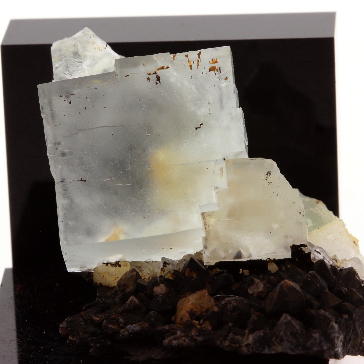 Fluorite + Quartz. 77.7 carats. Langeac, Haute-Loire, France