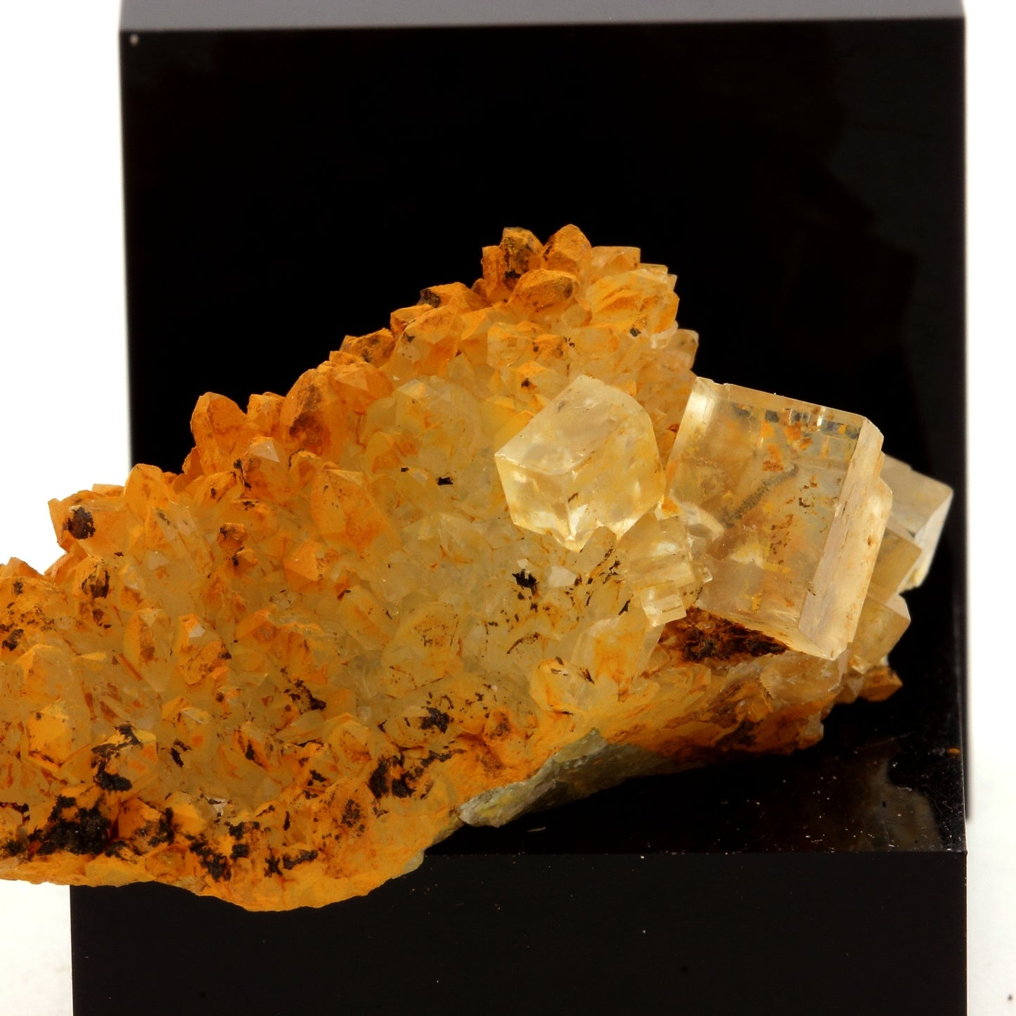 Fluorite + Quartz. 80.9 carats. Langeac, Haute-Loire, France