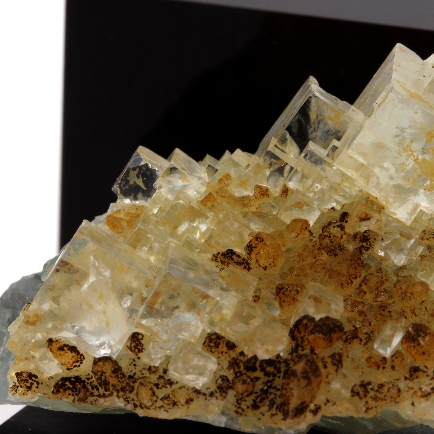 Fluorite + Quartz. 124.8 carats. Langeac, Haute-Loire, France