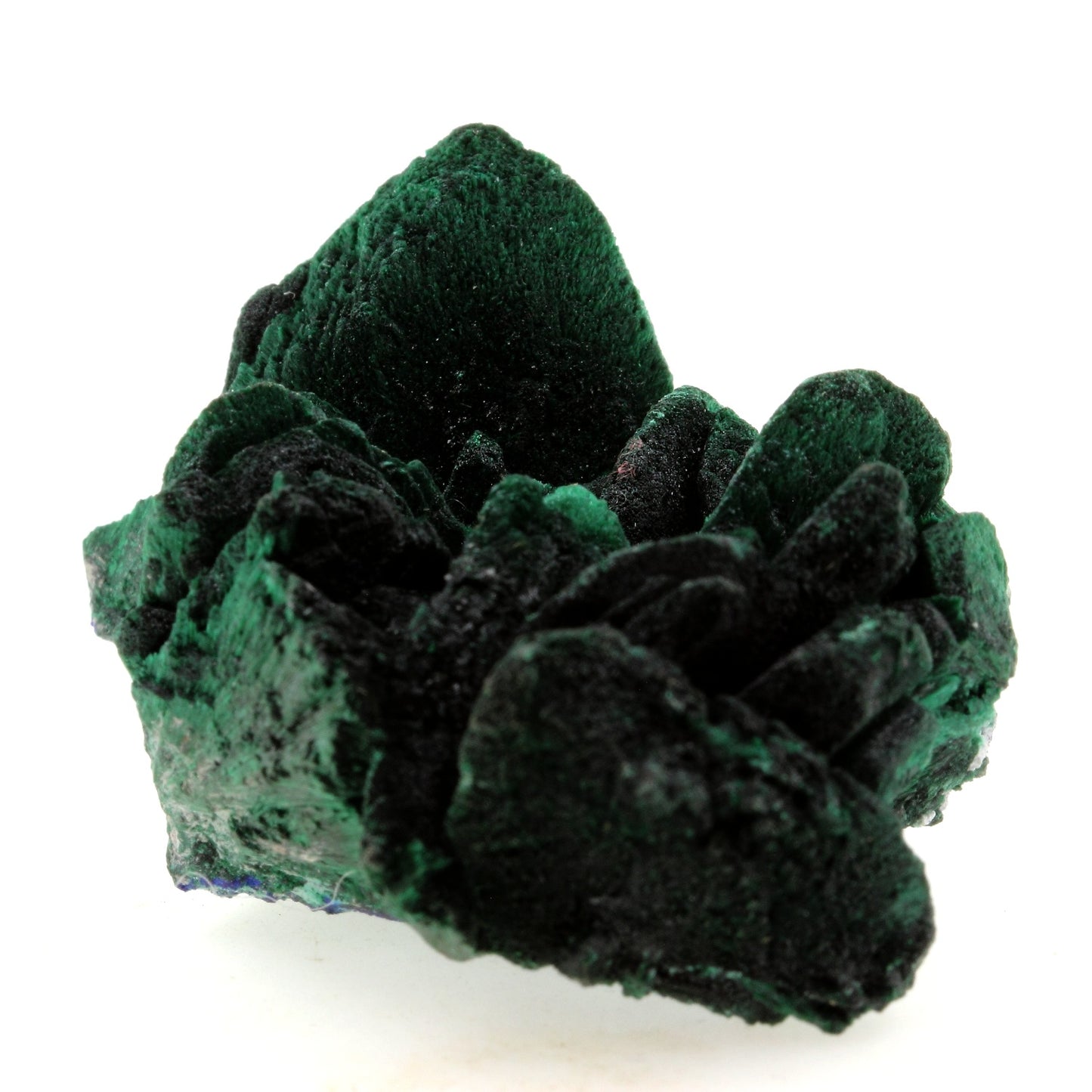Malachite pseudo après Azurite. 461.4 carats. Milpillas Mine, Sonora, Mexique