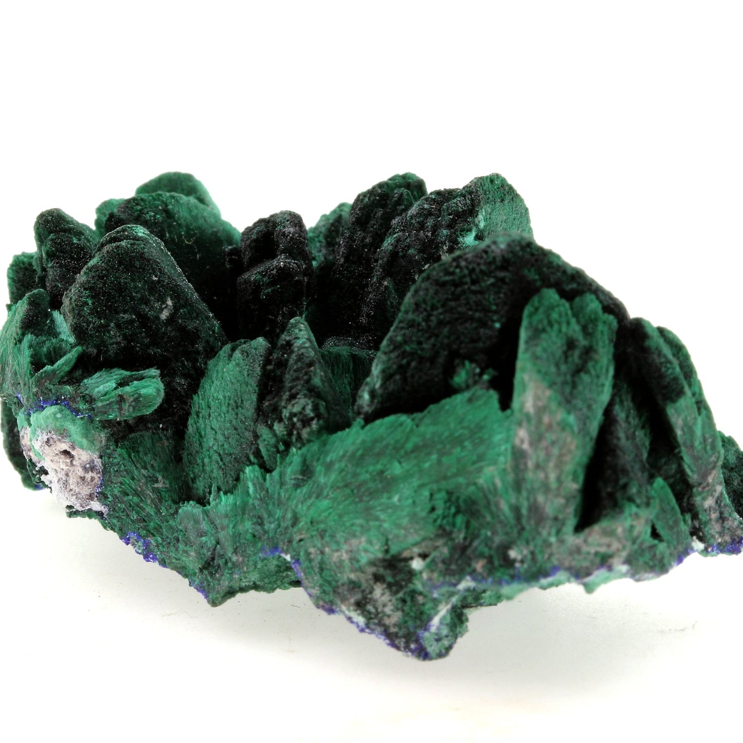 Malachite pseudo après Azurite. 461.4 carats. Milpillas Mine, Sonora, Mexique