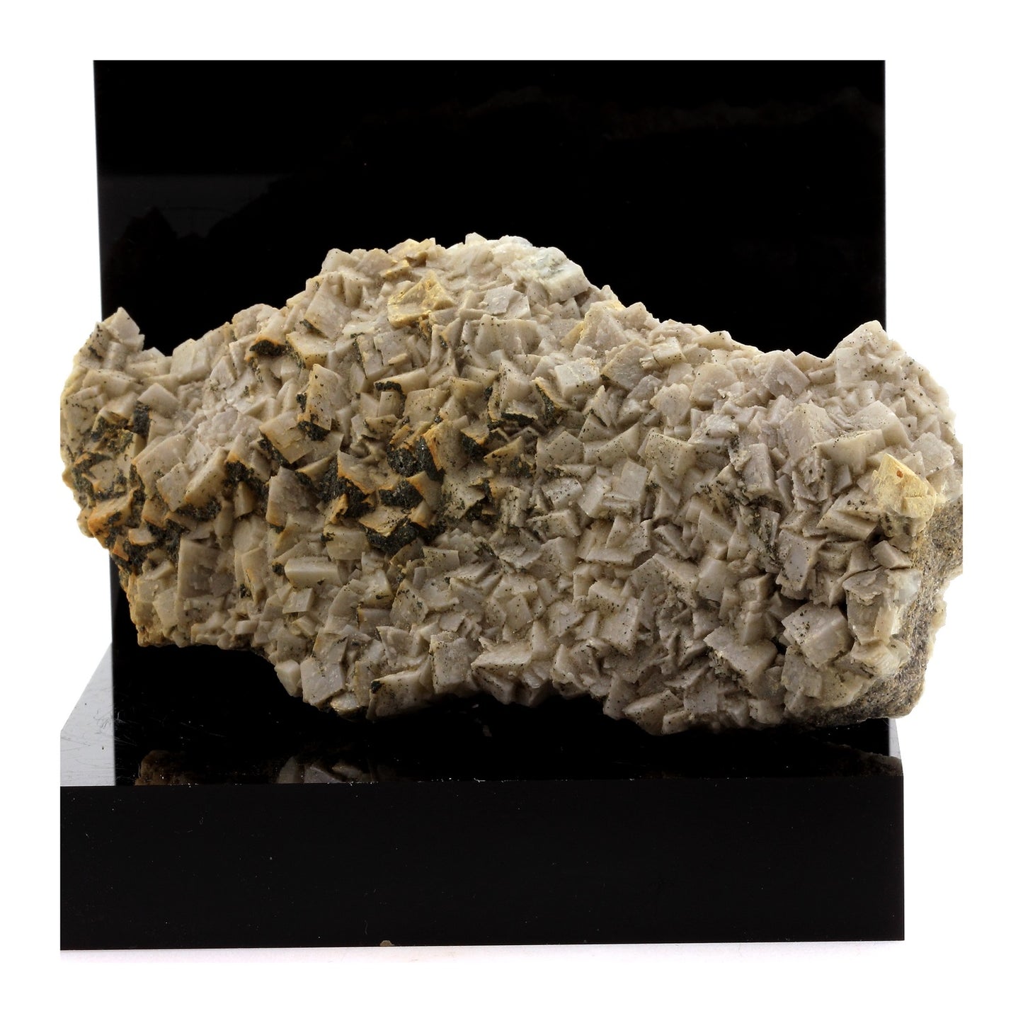 Dolomite + Pyrite. 1165.0 carats. Mas Dieu, Mercoirol, Gard, France