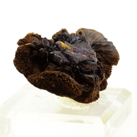 Goethite. 254.5 carats. Crimée, Ukraine, Russie