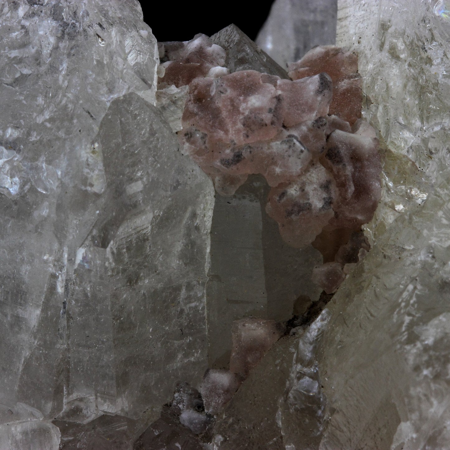 Fluorite rose + Quartz. 1635.0 carats. Massif du Mont-Blanc, France