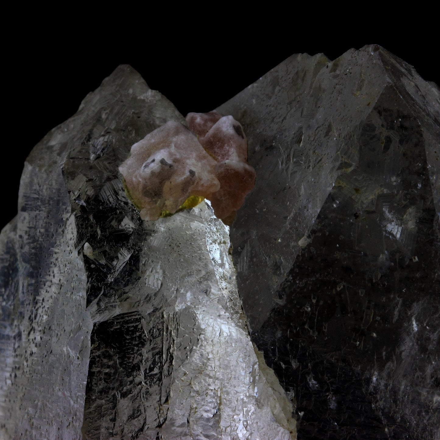 Fluorite rose + Quartz. 1600.1 carats. Massif du Mont-Blanc, France