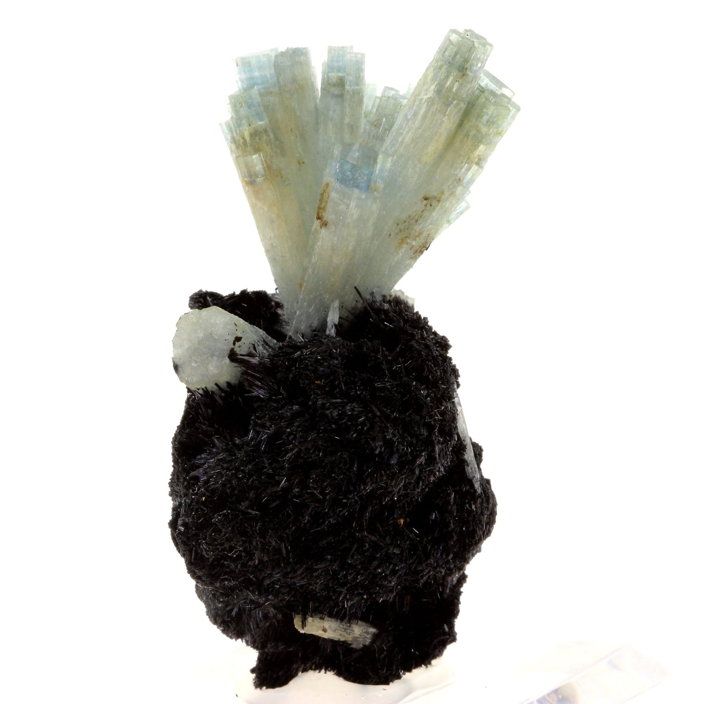 Aigue-Marine + Tourmaline Schörl en provenance de Usakos, Karibib, Erongo Region, Namibie