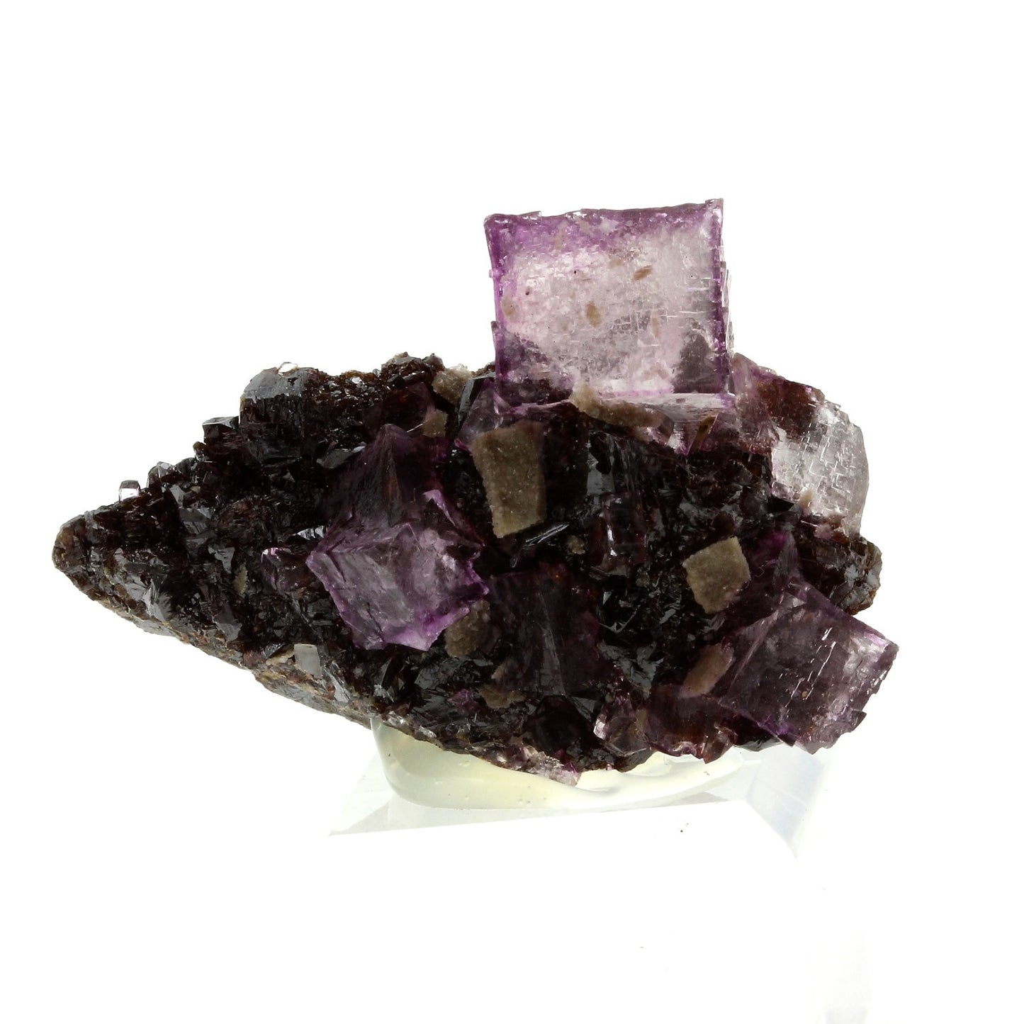 Fluorite + Sphalerite. 319.6 carats. Tennessee, USA