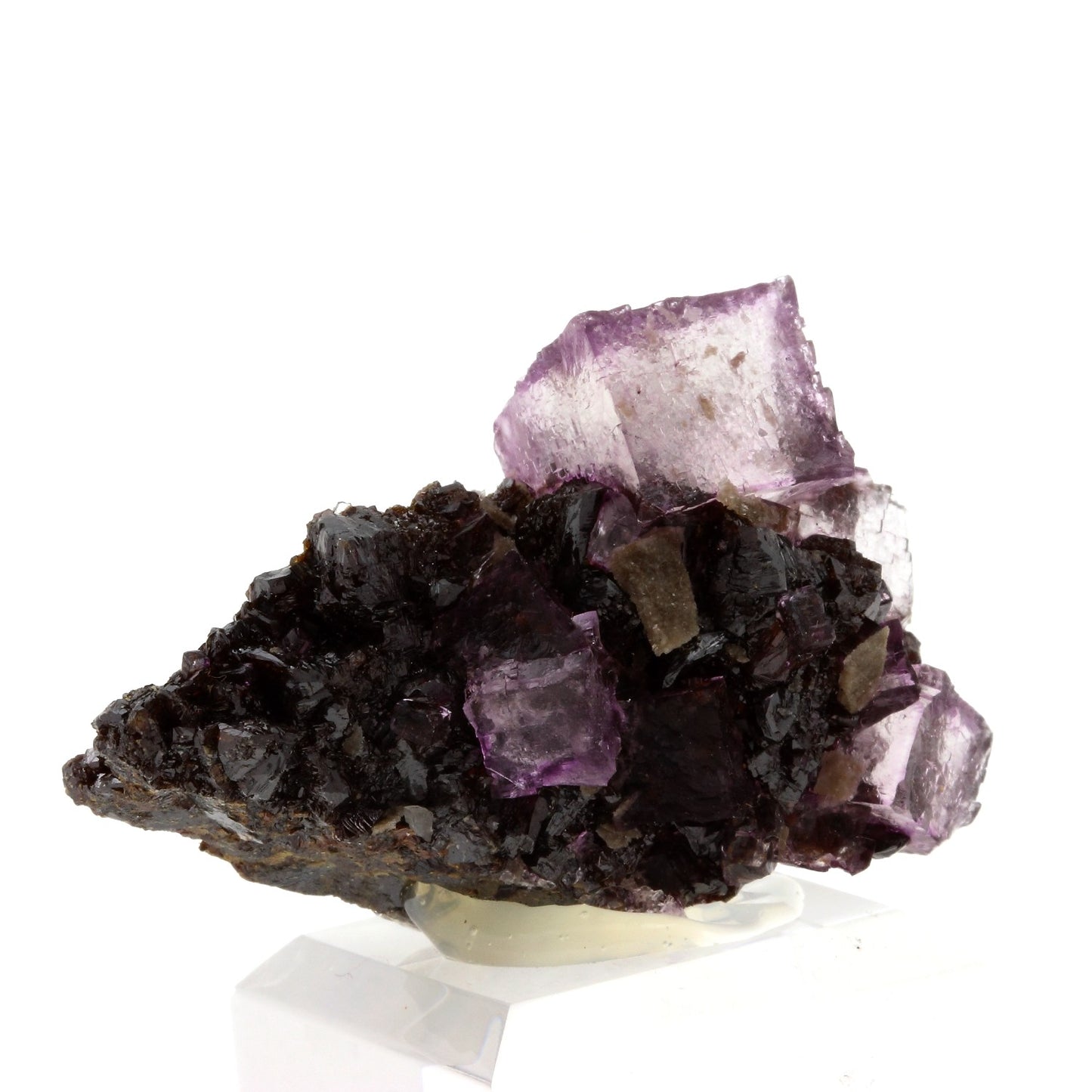 Fluorite + Sphalerite. 319.6 carats. Tennessee, USA
