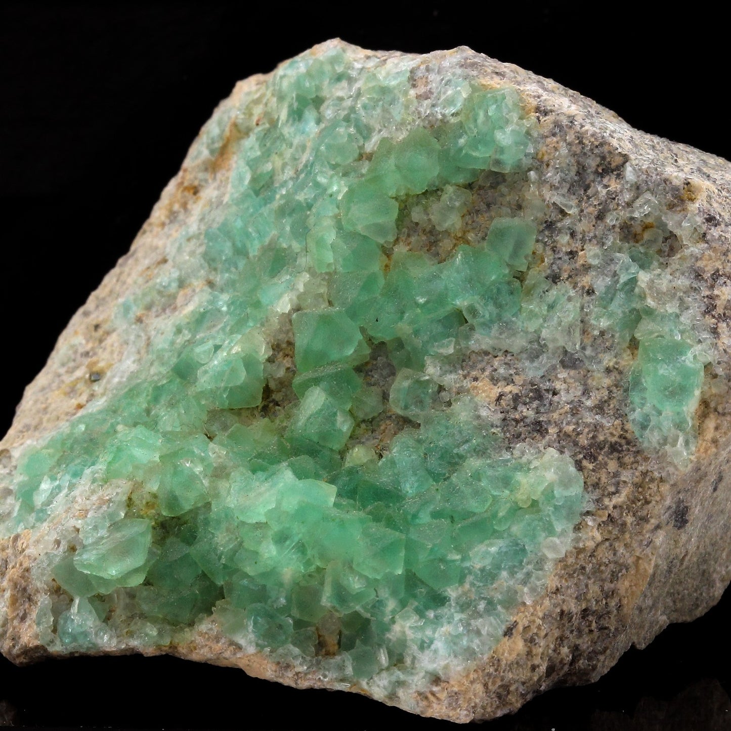 Fluorite. 1230.0 carats. El Papiol, Barcelona, Espagne